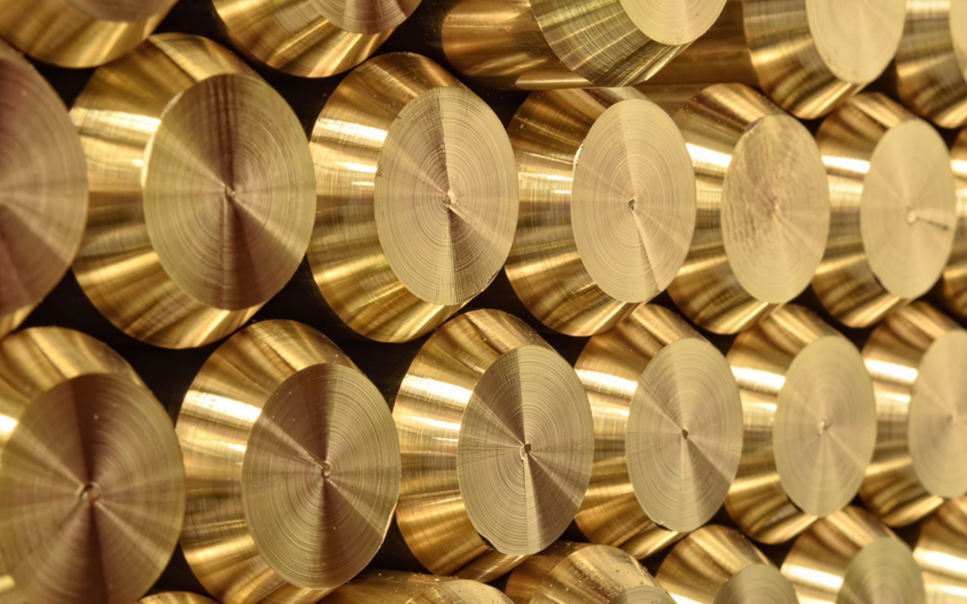 Cut cross-sections of brass round bar